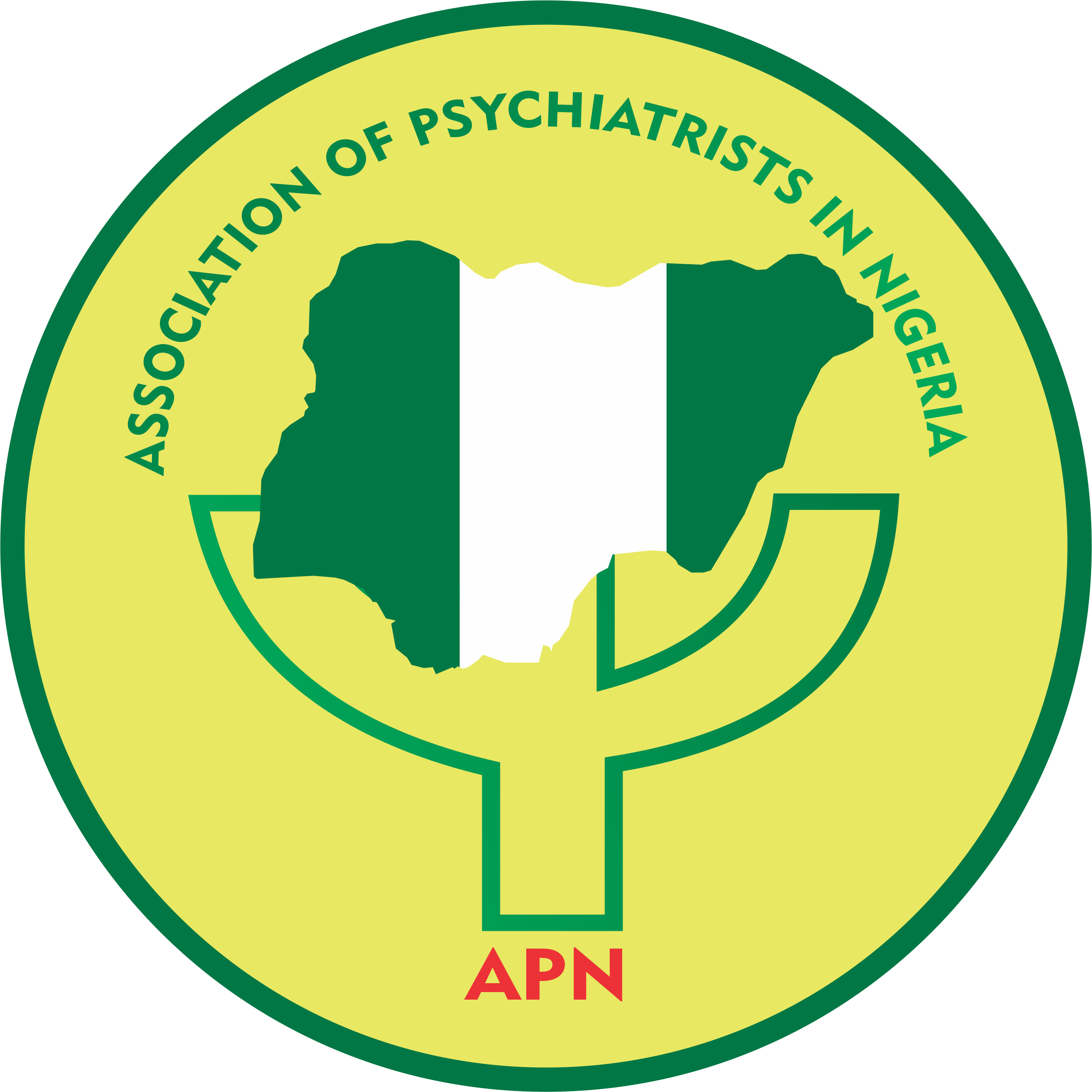 APN Logo